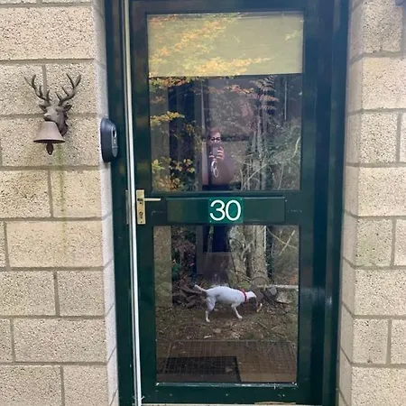 Chalet L'épicéa *